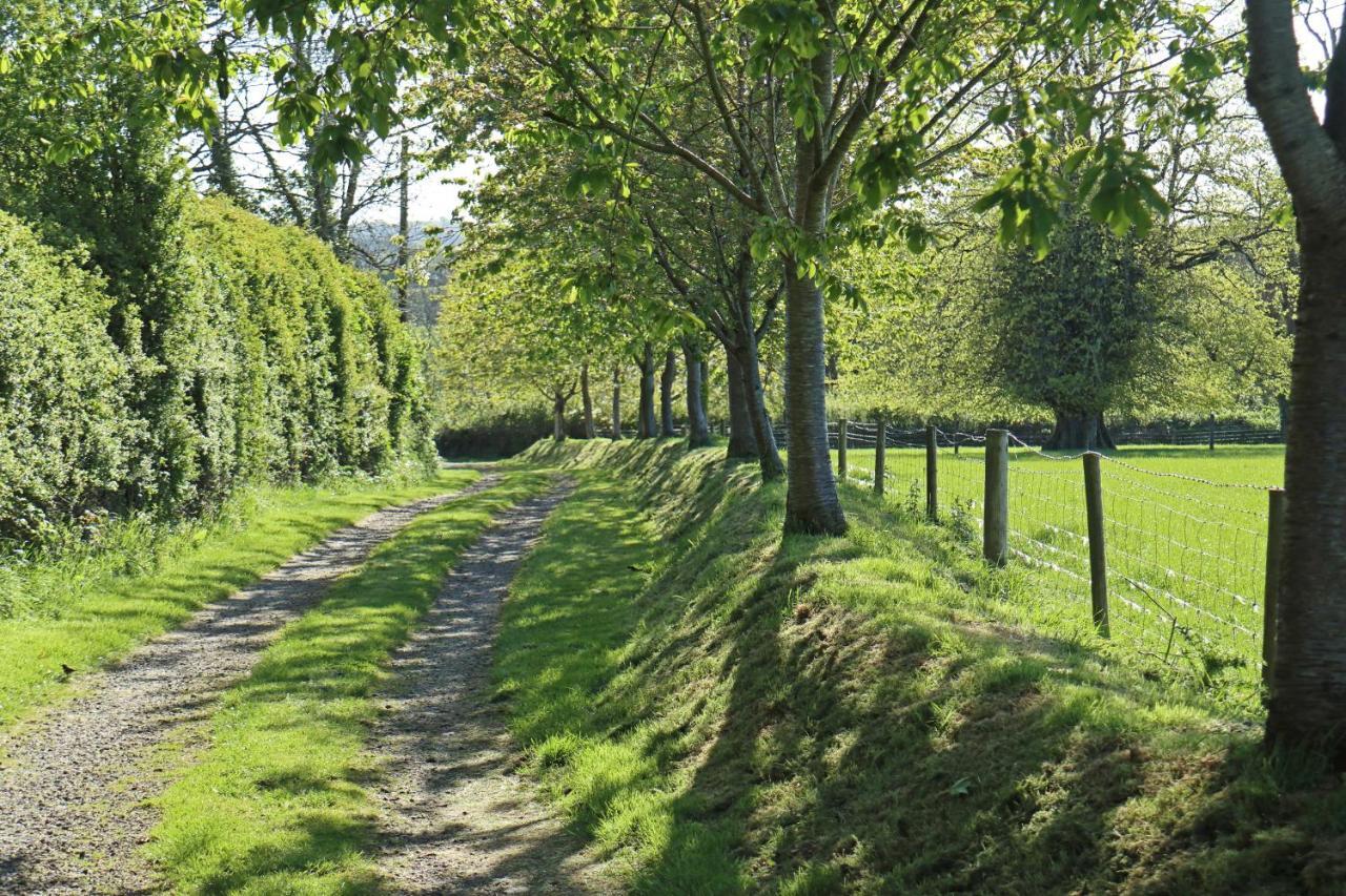 Lovaton Farmhouse Okehampton Luaran gambar